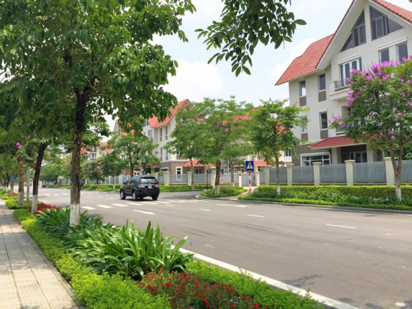 Ảnh thực tế tại Geleximco